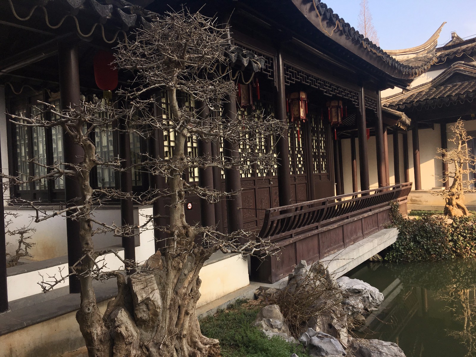 这里的庭院风格也别具一格还有养了几只小猫