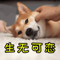 最后:确认之后:起初:简直就是一个移动的表情包难以接受等各种复杂的