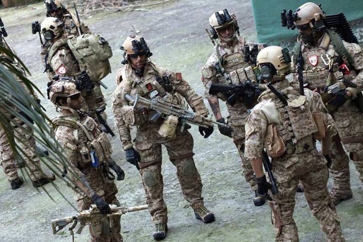 nswdg美国联邦调查局特种武器和战术部队 fbi swat法国国家宪