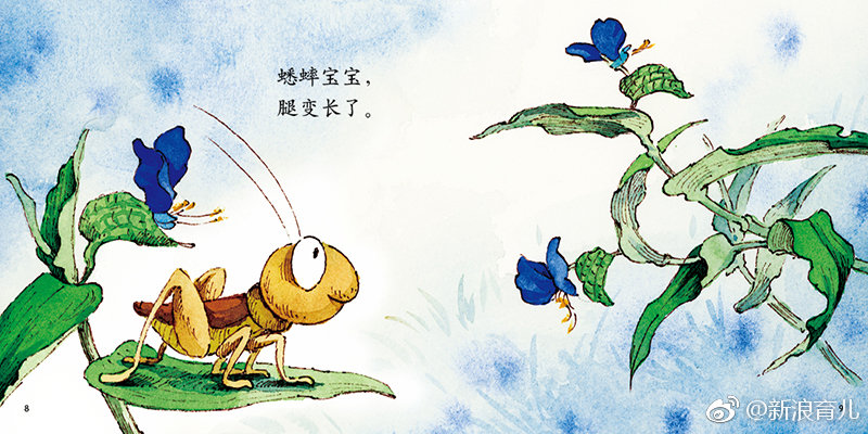 "桃花红了,菜花黄了.蟋蟀宝宝