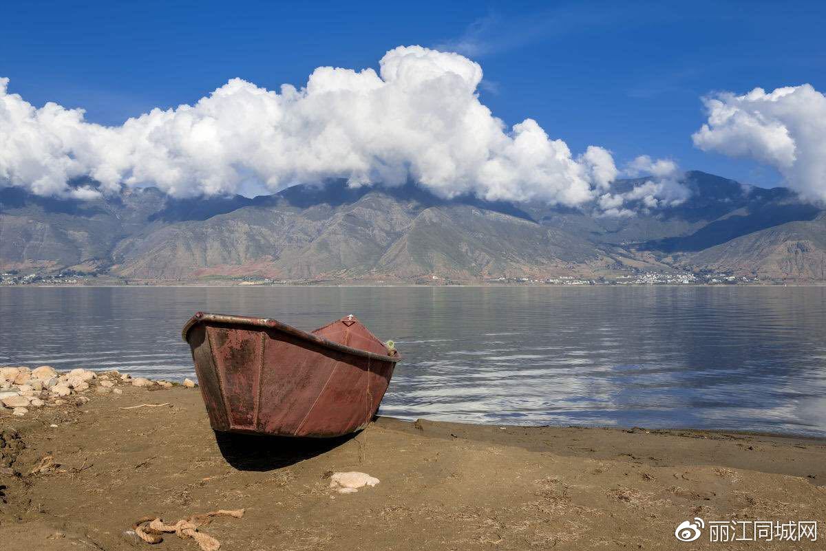 上天赐给丽江的一份珍贵礼物 程海湖抢救成效见证