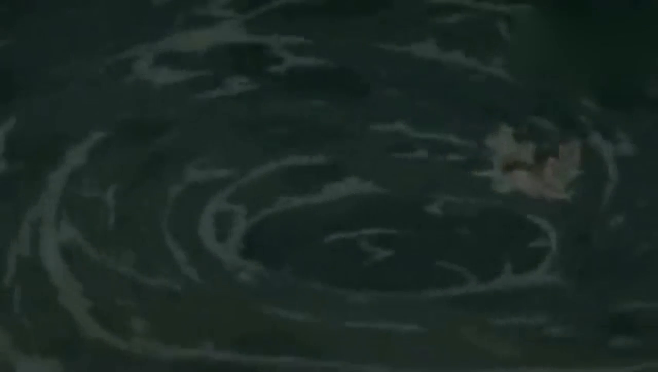 他的歌,让超女黄英、江映蓉都大呼好听!