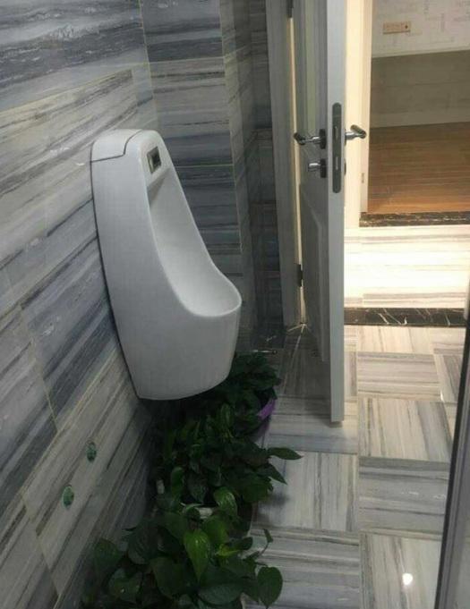 这是客厅客厅公共卫生间,他非要装个小便池,我觉得好丑啊,感觉像外面