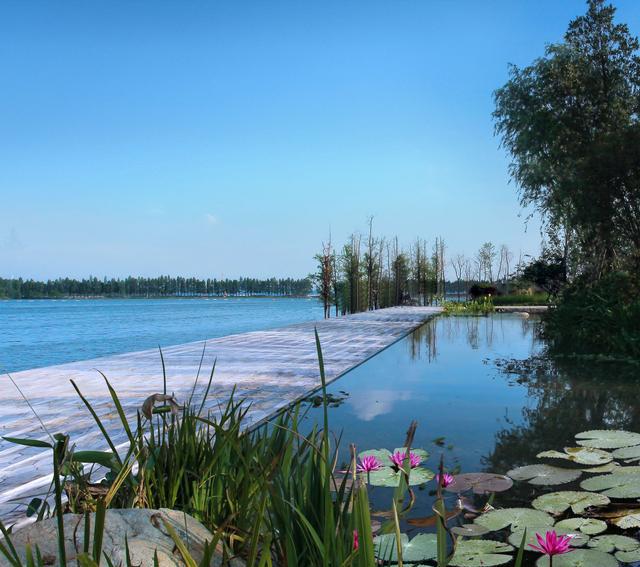 武汉华侨城让"大美东湖"生态与发展共赢