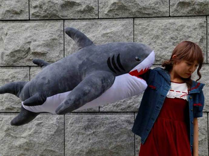 最近很火的鲨鱼抱枕除了用来抱还能用来被吃