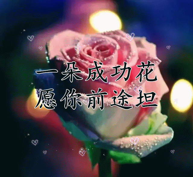 640_586gif 动态图 动图