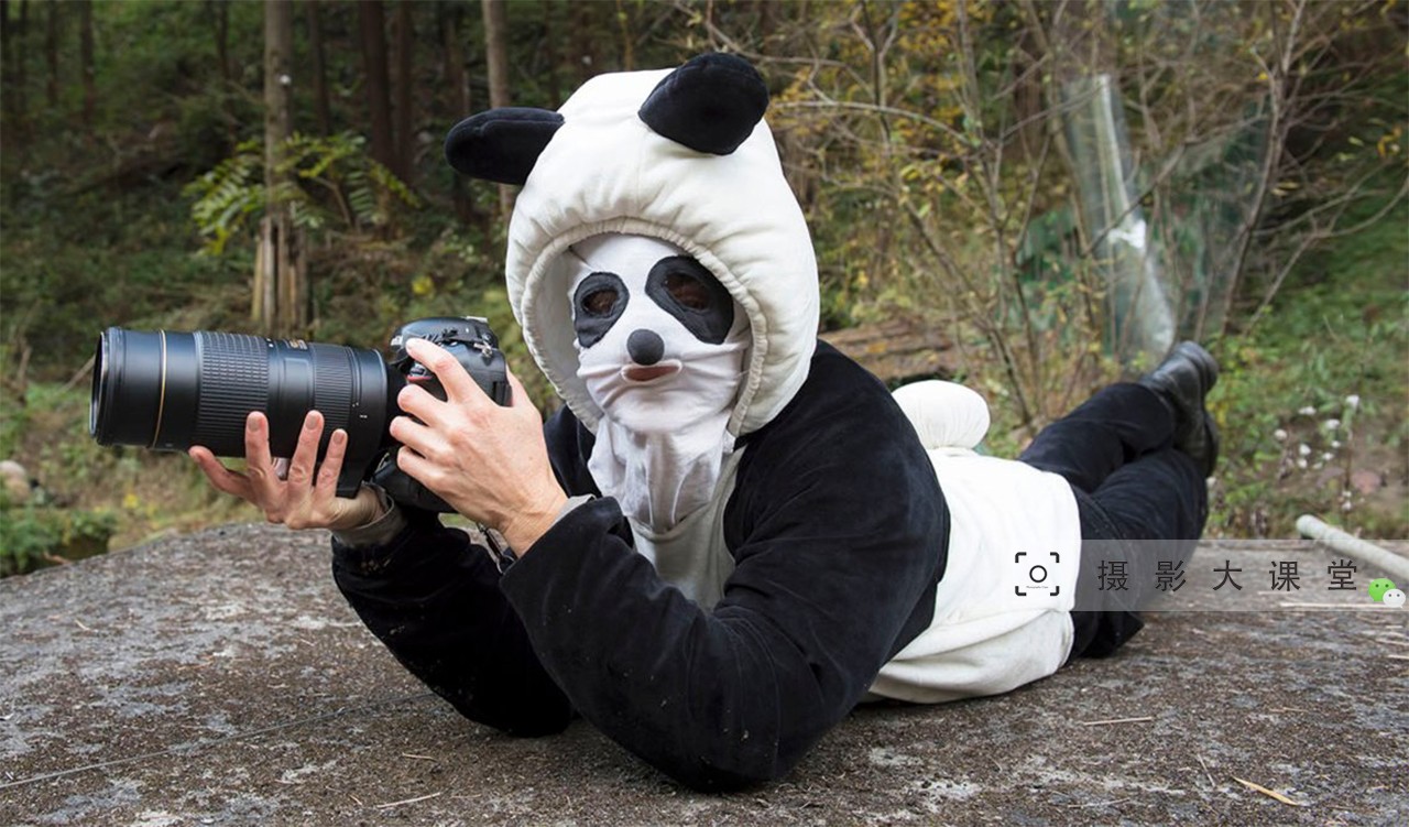 7张图片告诉你,野生动物摄影师有多牛,各种奇葩伪装!