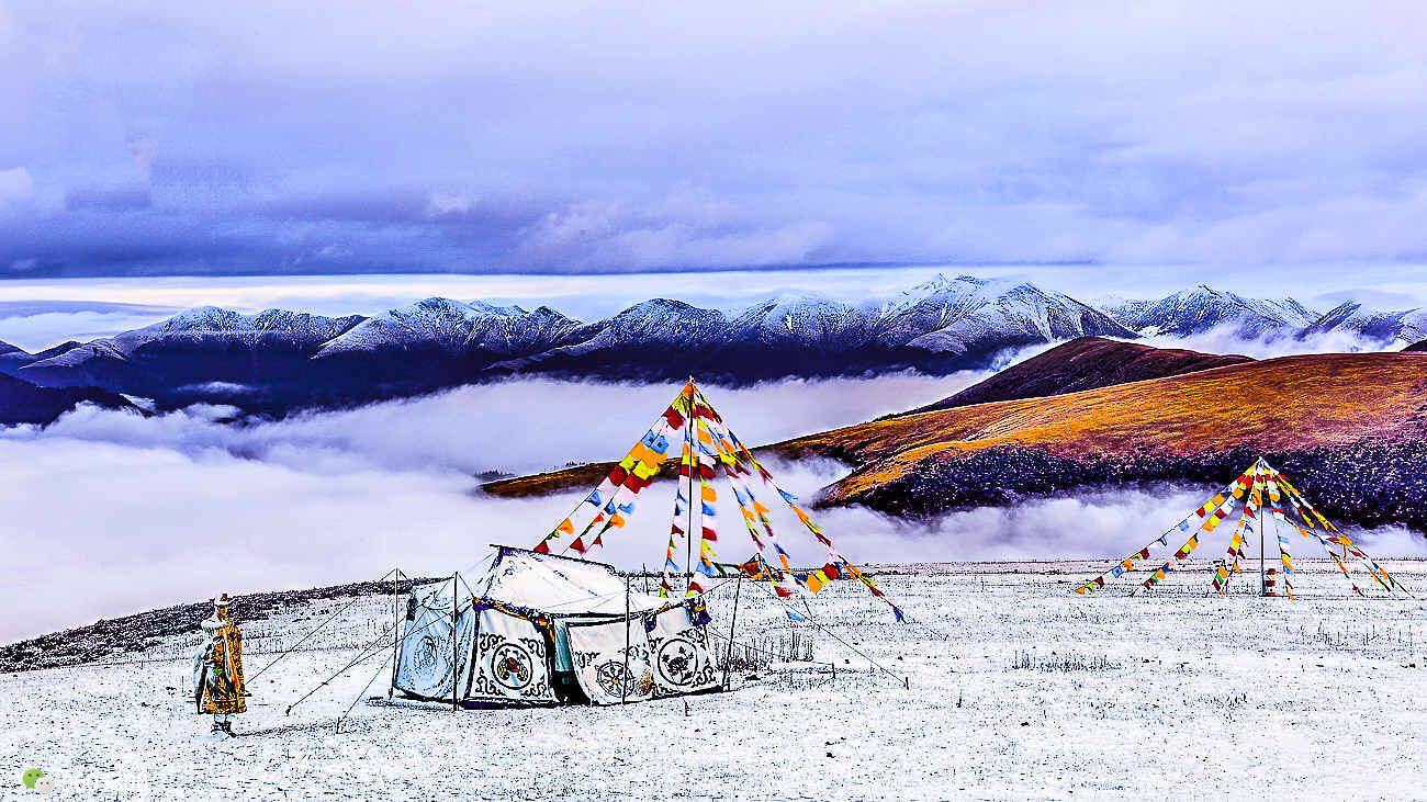 如果给我金钱和时间,我会跑遍中国最美藏区!