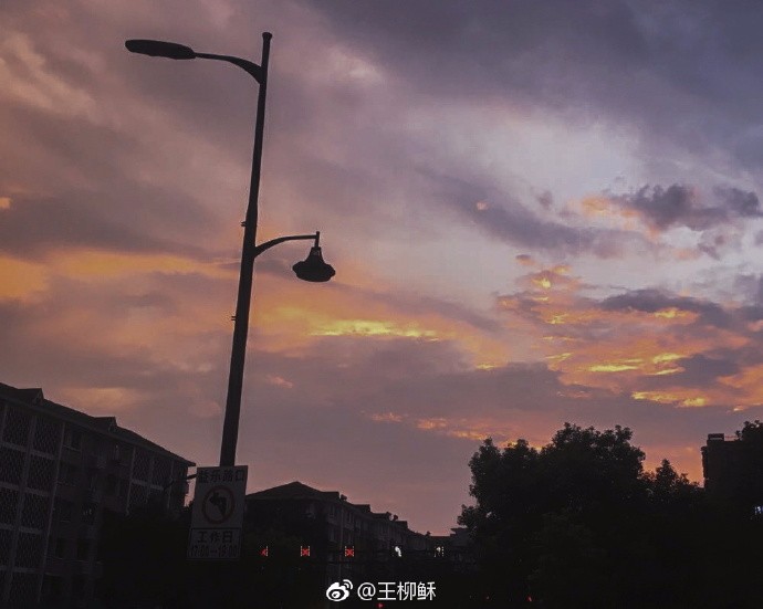 被秋天的晚风治愈了67676767