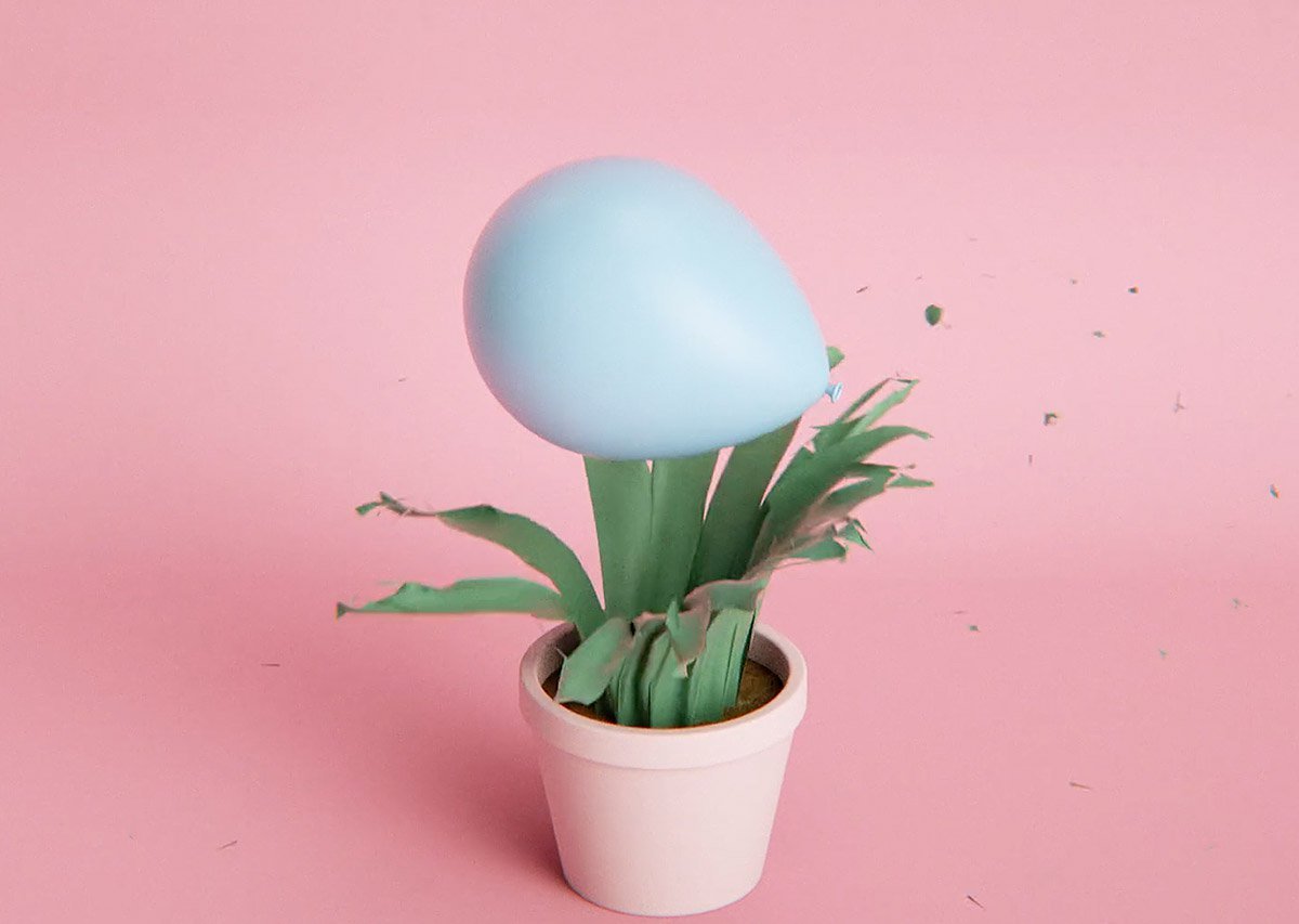 荒谬preposterousashortaboutabsurditybyflorentporta