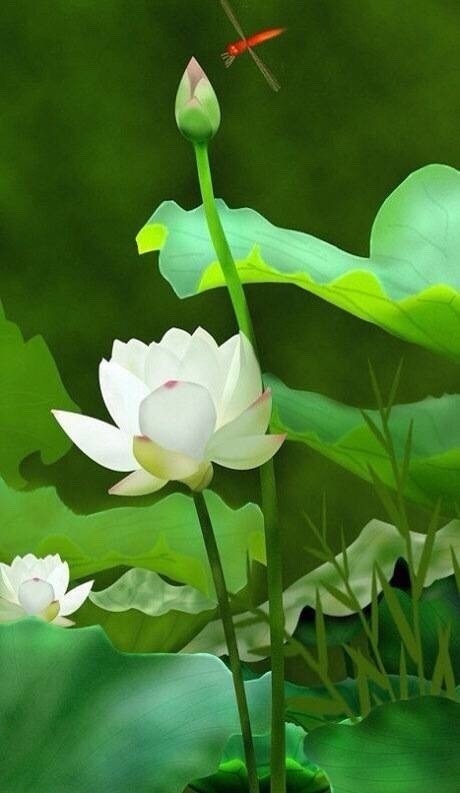 碧绿小池幽荷莲似水柔红尘身外事笑傲荡烦忧