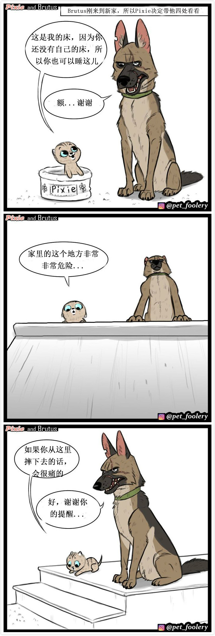 Ins上一位外国博主连载的小漫画 已经更新了5话了