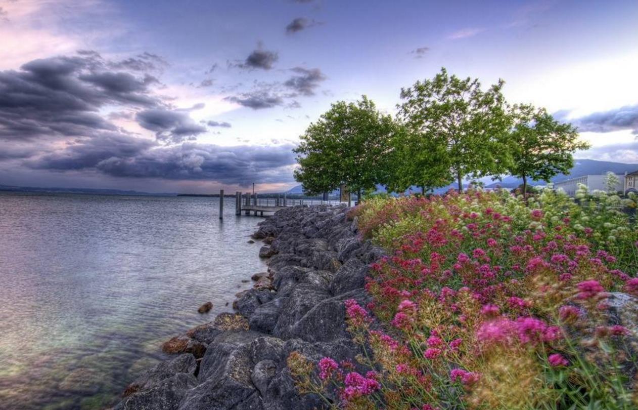 7月好运气的3大生肖: 先发财,再中奖,搬新房, 日子不是一般的好