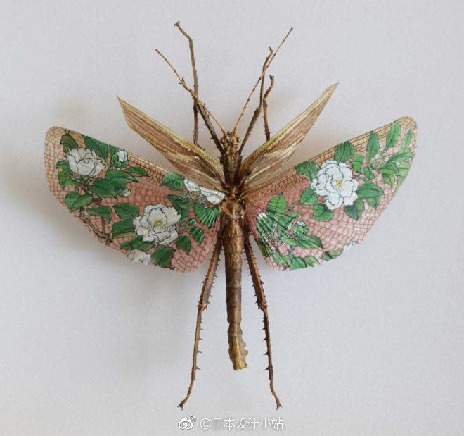 日本艺术家樋口明宏在昆虫标本上绘制的画作.