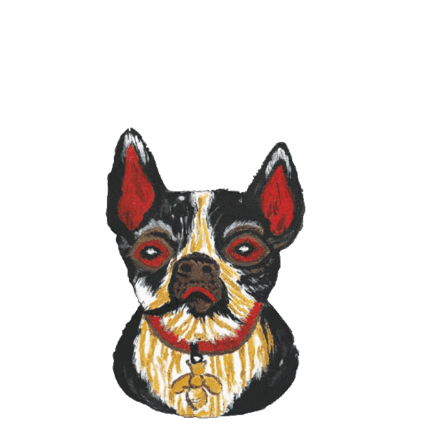 gucci狗年祝福表情包