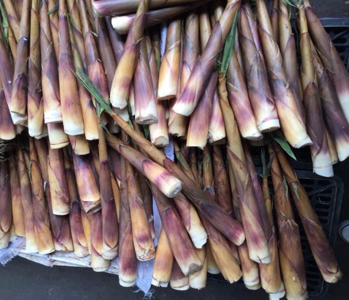 宜宾"长宁苦笋"被正式批准为国家地理标志保护产品