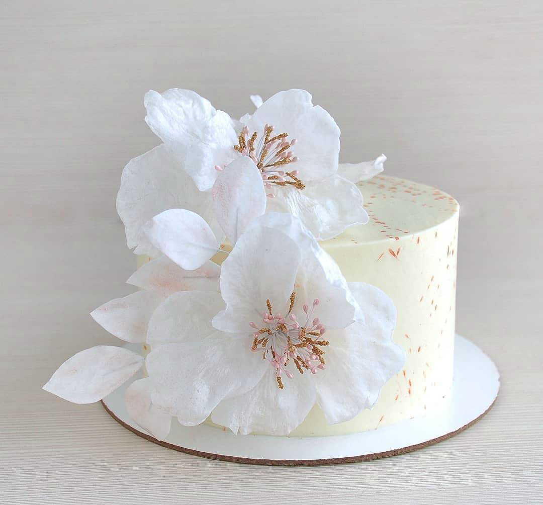 清新淡雅的蛋糕,和清新文艺的你更配哦