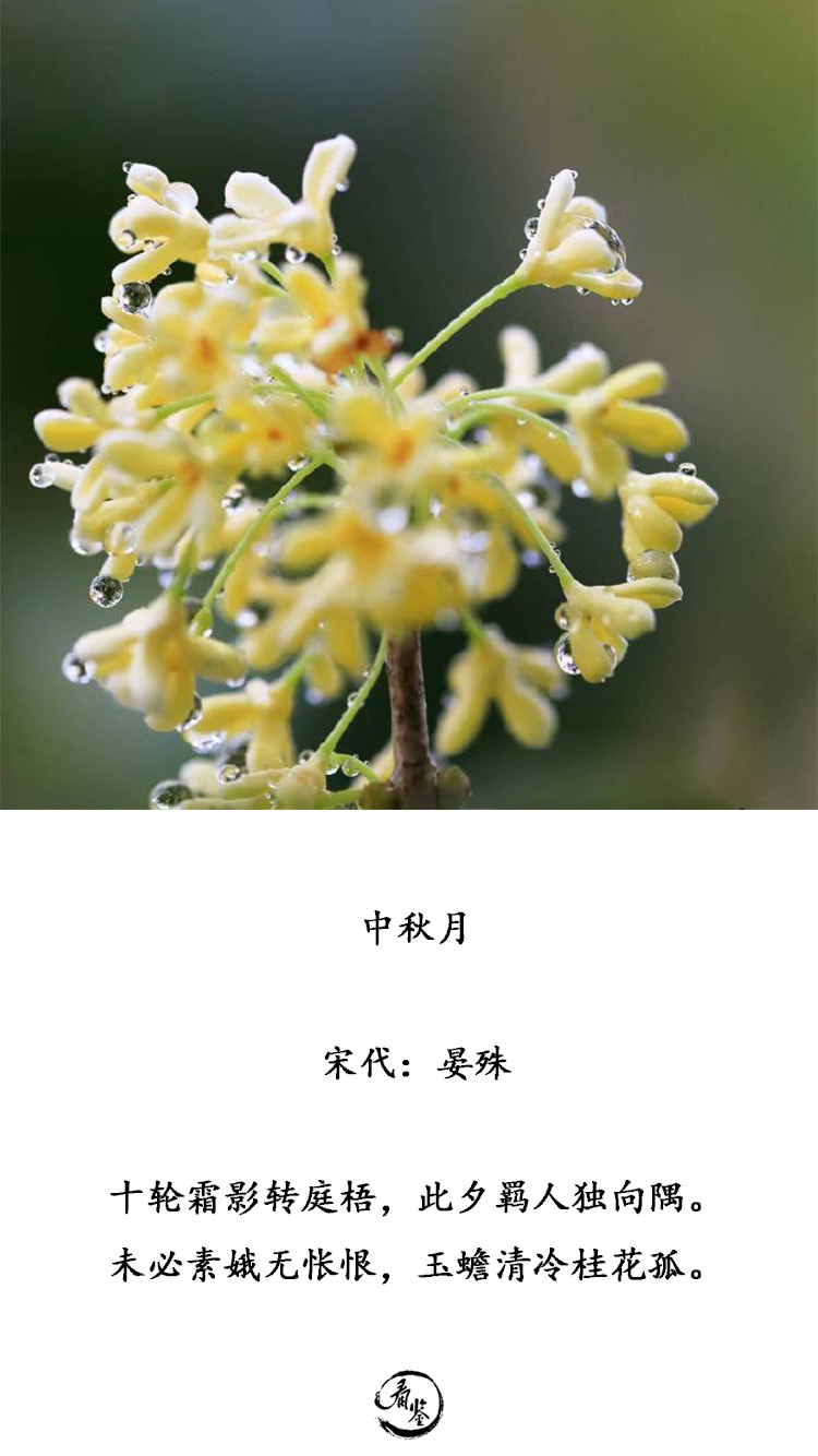 人闲桂花落,夜静春山空.