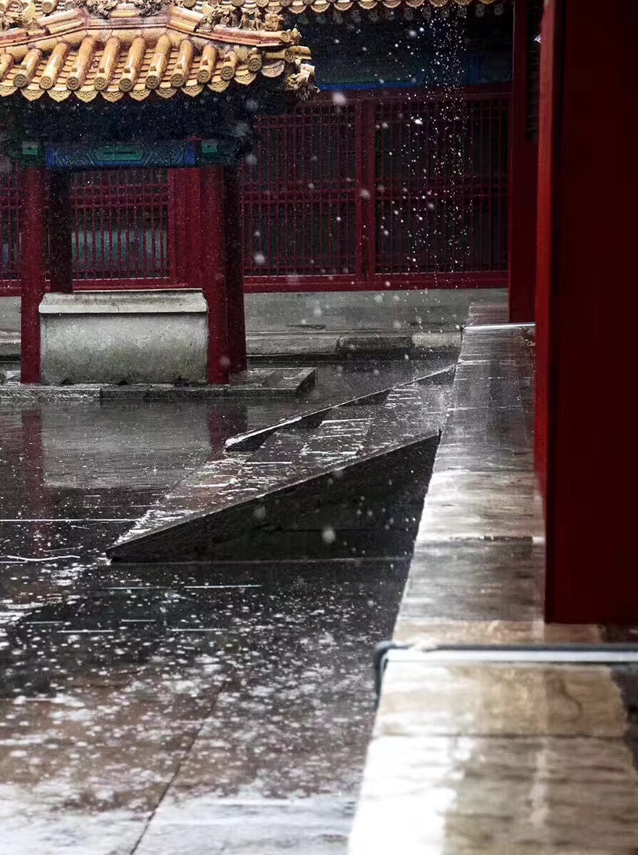故宫| 雨