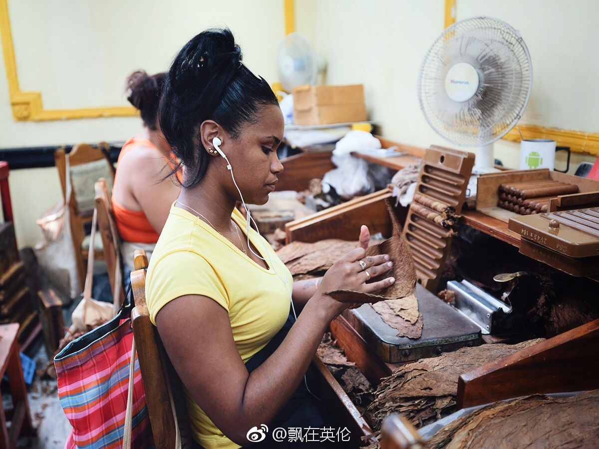 探秘古巴还未对外开放的高希霸雪茄工厂.