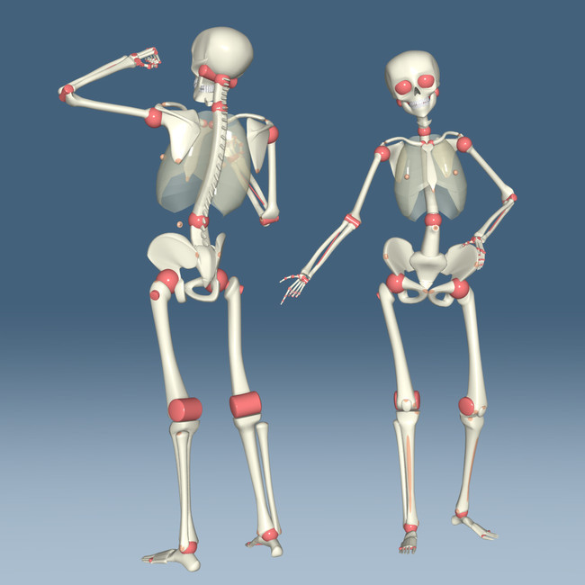 精选cg绘画画人体骨骼的方法