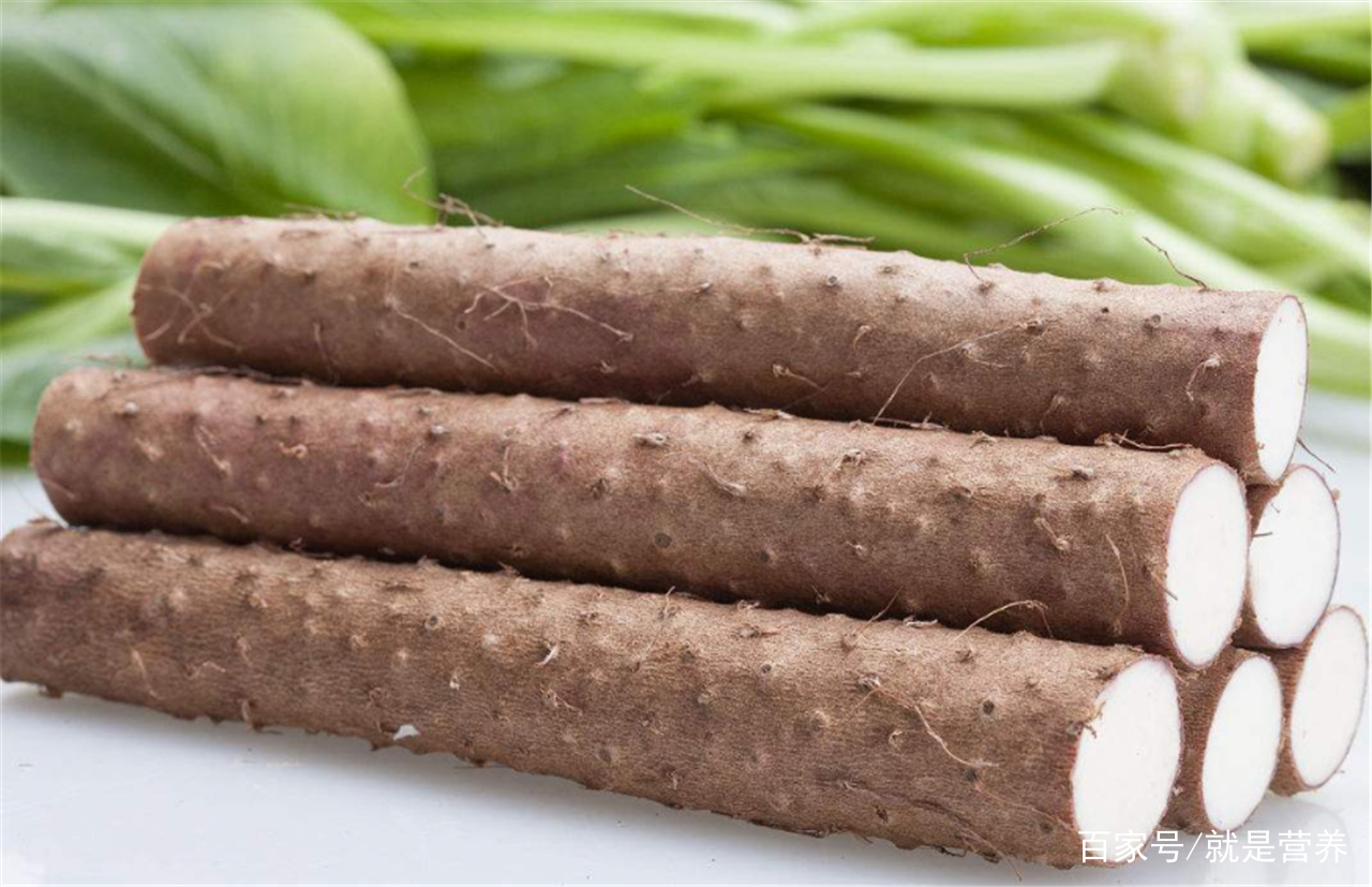 怎么养脾胃的方法和饮食(对脾好的食物有哪些)
