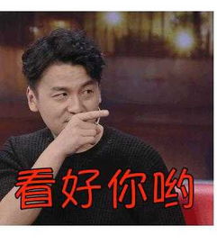 雷佳音好可爱,挑战岳云鹏,自己还有很多奇奇怪怪的表情包