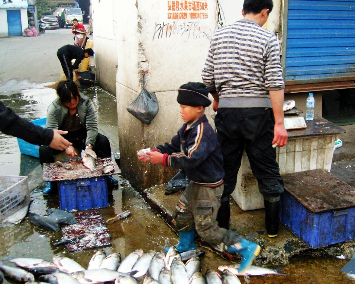 不爱上学爱杀鱼,"杀鱼弟"窜红后成了"品牌店"招牌_新浪看点