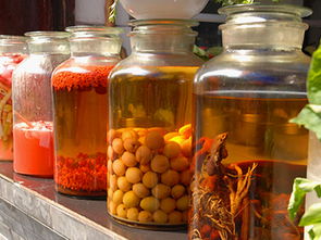 不花一分钱,老少皆宜