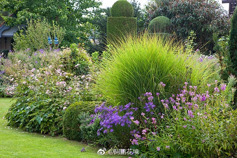 观赏草花境2