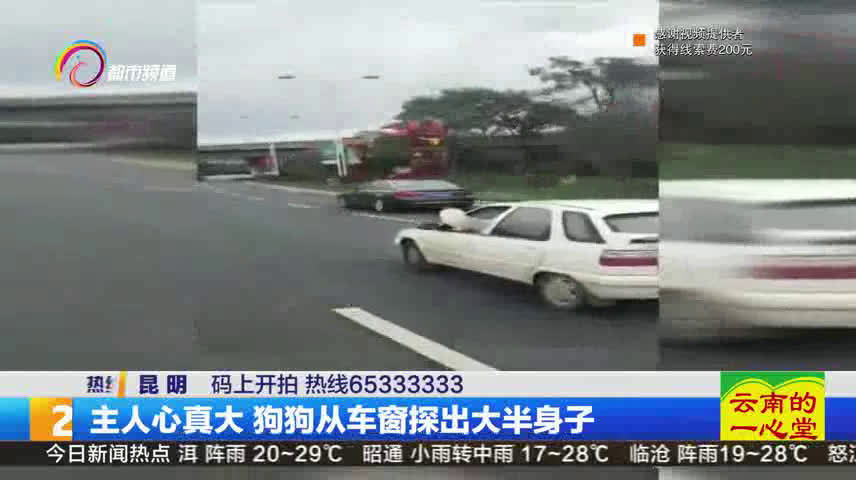 男生对女生的称呼从宝贝到二狗子的全过程,爱