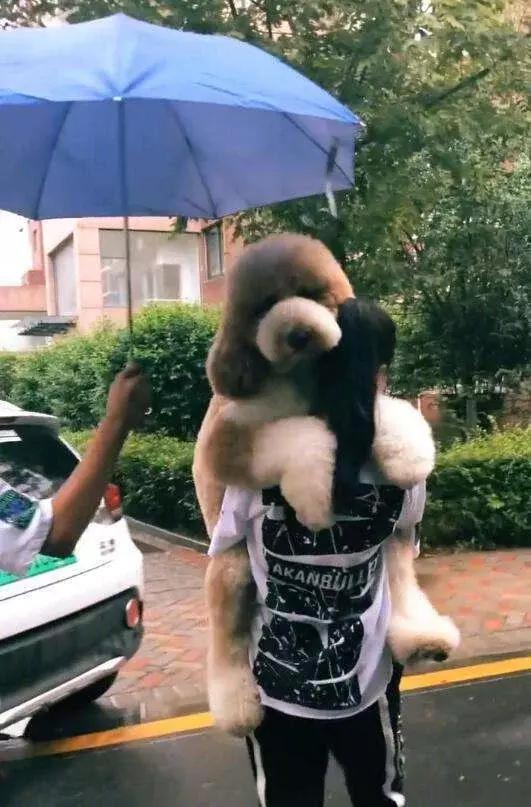 为了不让狗狗脚着地,女主人宁愿一路抱着它回家,真是宠上天了