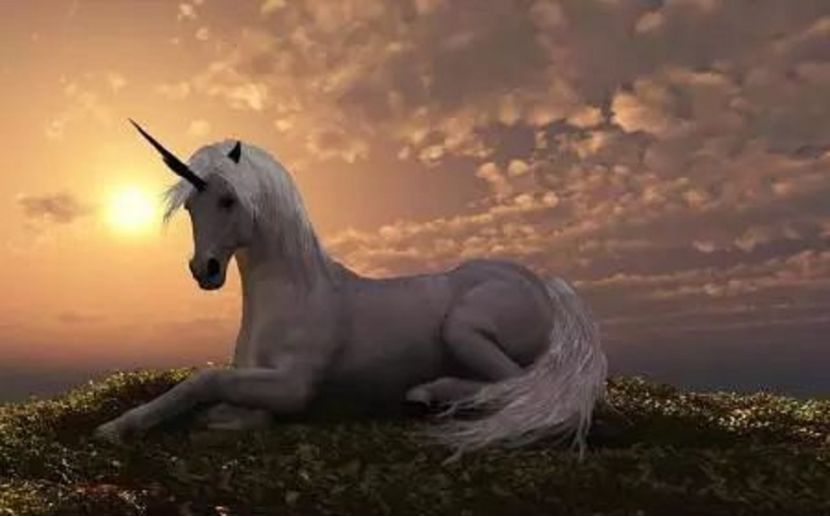 光环褪去股价暴跌,这些独角兽公司变成了毒角兽