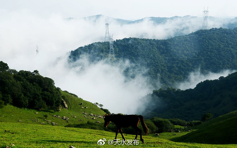 关山老爷岭云山雾海美景如画如人间仙境