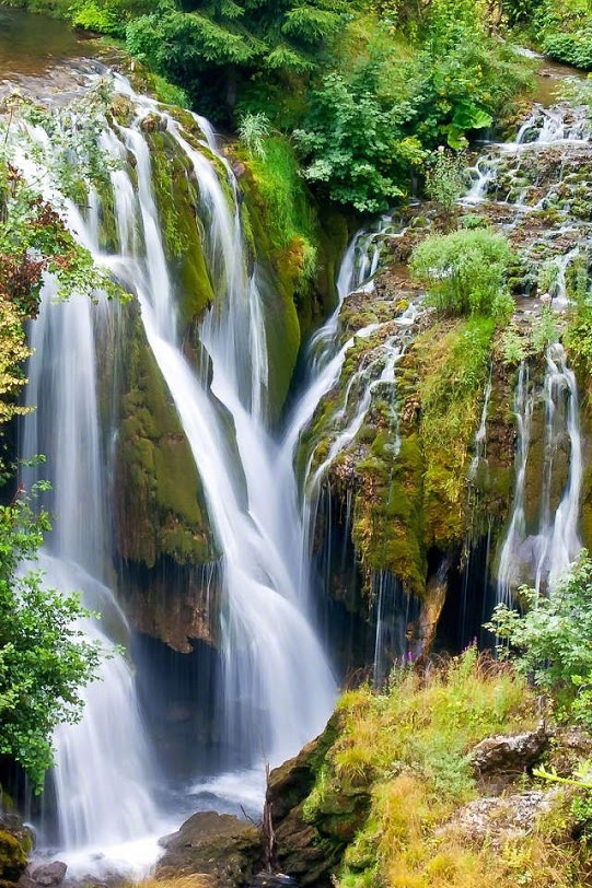 人生如梦,暮然回首万事空.嬉笑怒骂即是生活,花开花落便是人生