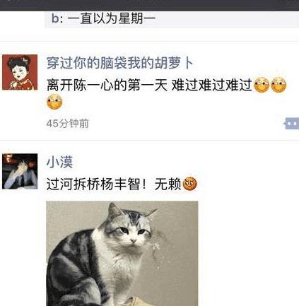 朋友圈发文: 过河拆桥杨丰智, 并且曝光小智照片