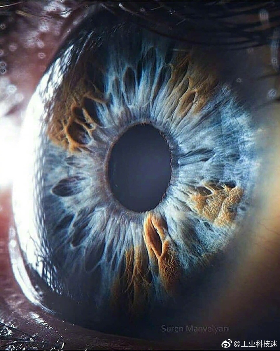 惊叹超微距镜头下的人眼瞳孔