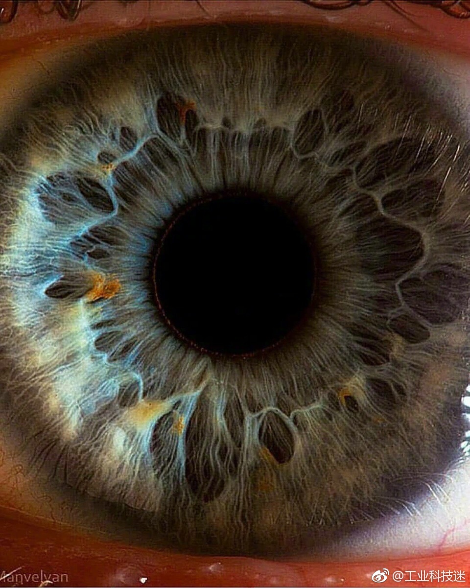 惊叹超微距镜头下的人眼瞳孔