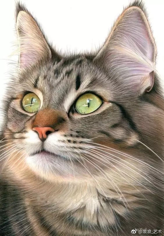 超写实女画家karenhull02超喜欢图一的猫