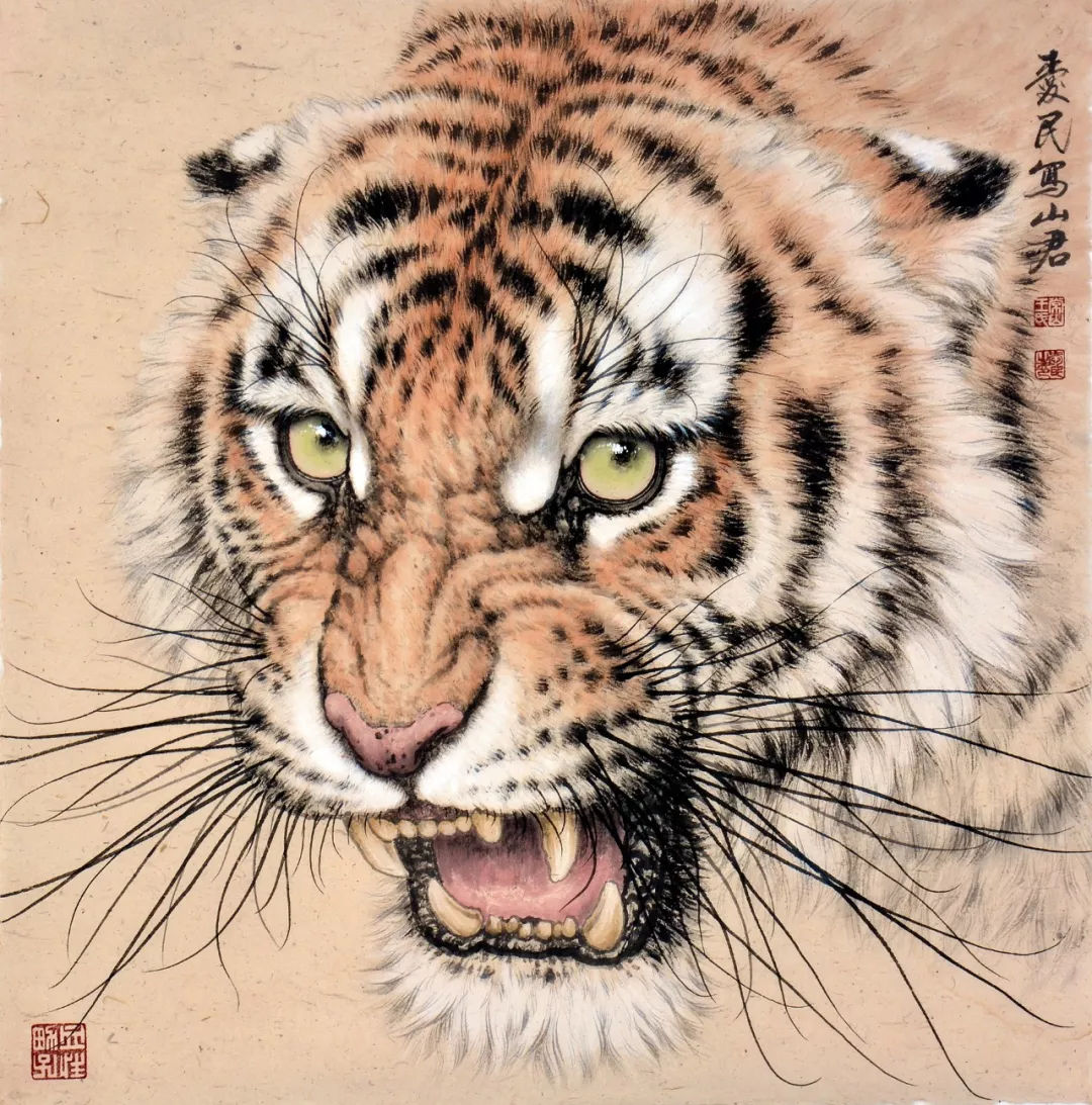 他笔下的工笔猛虎生动凌厉气韵不凡