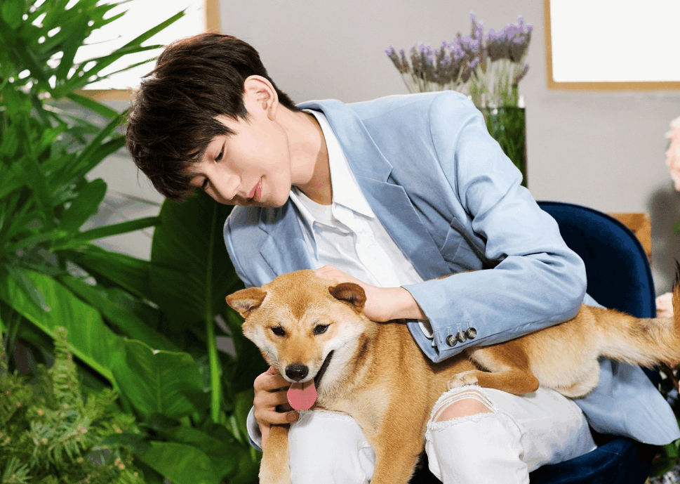 王源广告拍摄花絮流出,魅力蔓延到动物界,粉丝吐槽:醉奶式走姿