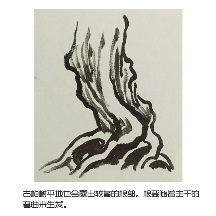 国画树法,柏树的画法。@微博国画|国画|柏树|画法|微博_新浪新闻