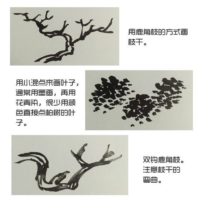 国画树法,柏树的画法。@微博国画|国画|柏树|画法|微博_新浪新闻