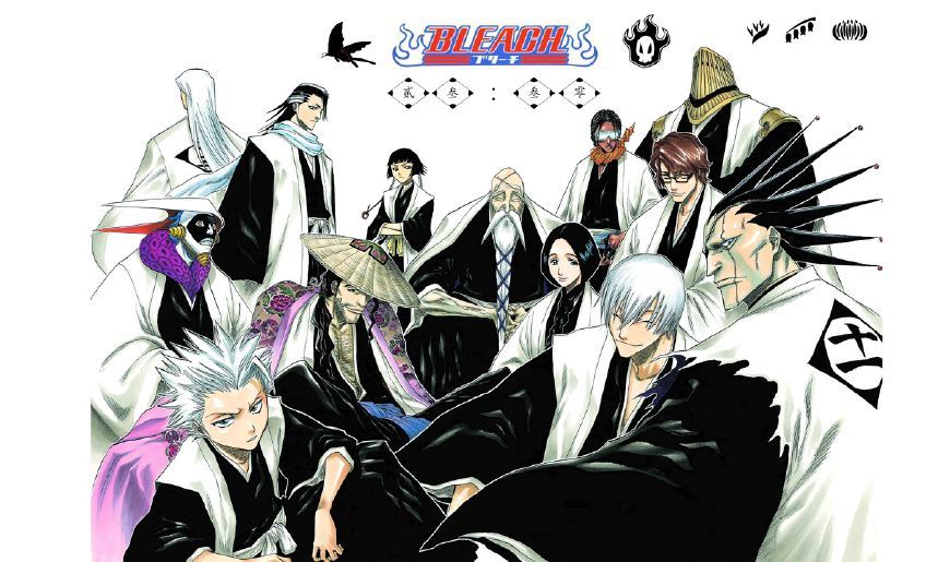 第一把:冰轮丸十番队队长日番谷冬狮郎的斩魄刀,号称是冰雪系斩魄刀中