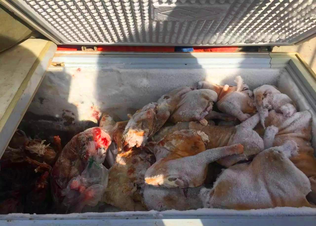 镜头下真实的屠狗场, 一天三百只狗遇害, 人性的反思