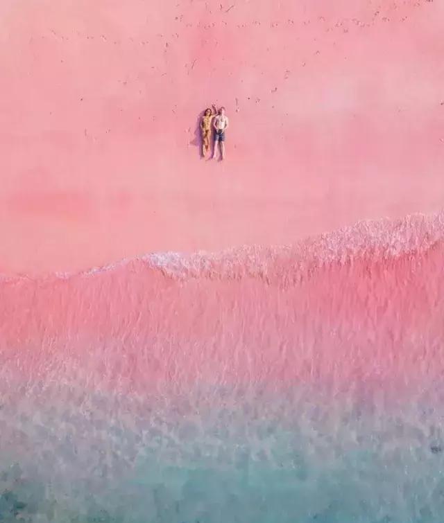 这些粉色沙滩承包了我的情人节|龙目岛|巴哈马|科莫多_新浪新闻