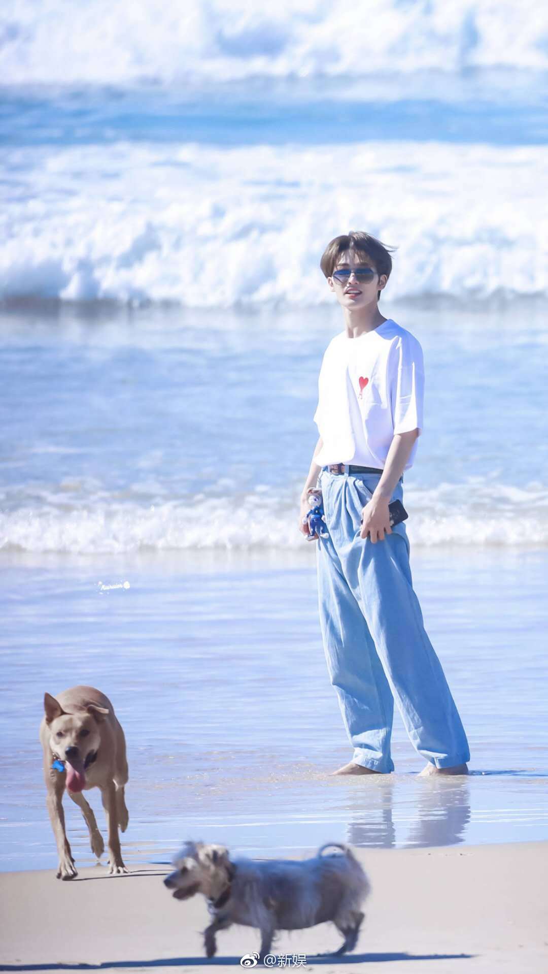 奇妙的食光花絮图朱正廷justin黄明昊小鬼王琳凯澳洲之行花絮图