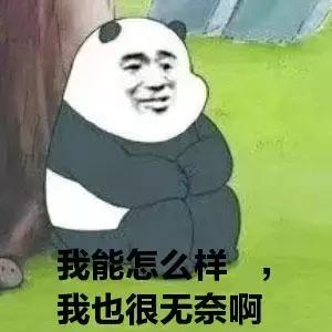 竞彩足球直播视频:世界杯究竟买哪支队?这才是