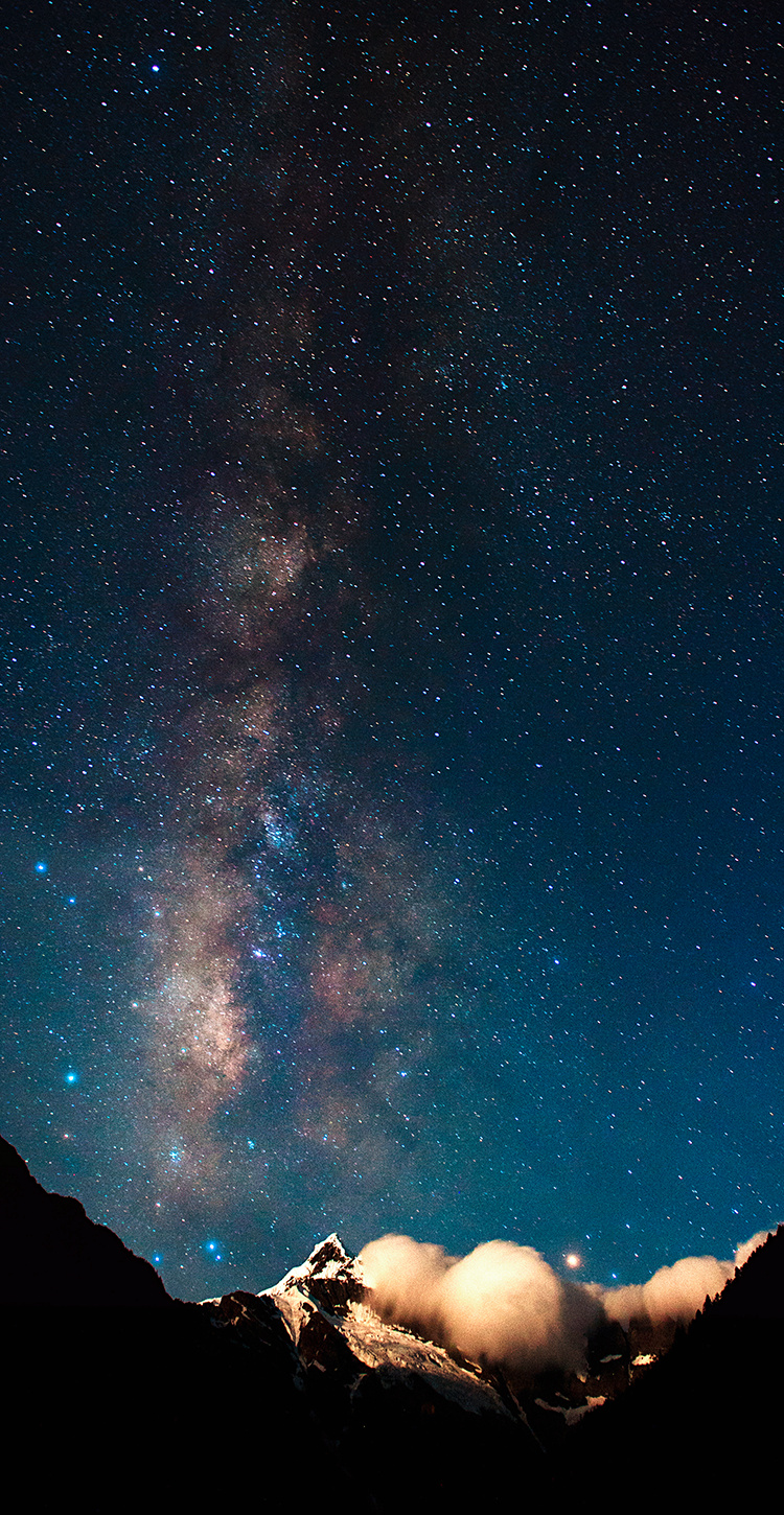 那么,只要你在夜晚仰望星空,你就会觉得漫天的繁星就像一朵朵盛开的花