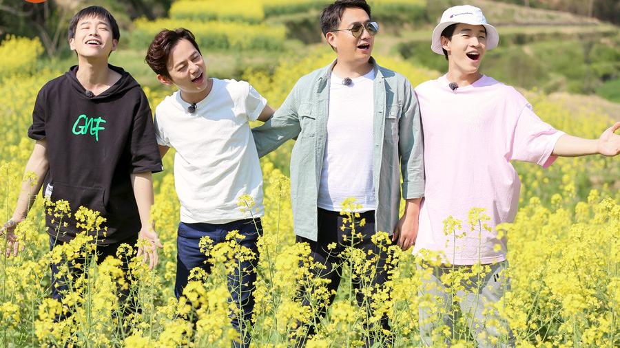 《心火烧》之后,《向往的生活》里这首《油菜花》又火了.